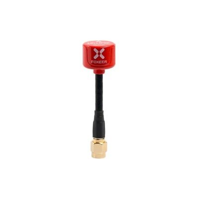 Lollipop_4_PA1469